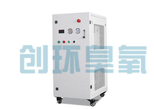 门头沟石斑鱼养殖水质调控完整指南:臭氧发生器配置与操作步骤
