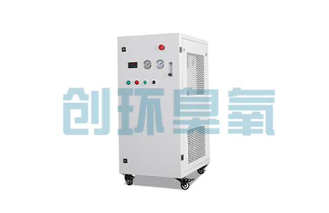 门头沟比传统换水更高效?臭氧发生器在石斑鱼养殖中的水质净化原理解析